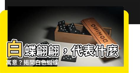 白色蝴蝶代表什么|蝴蝶的意義和象徵（夢想、精神、圖騰和力量）